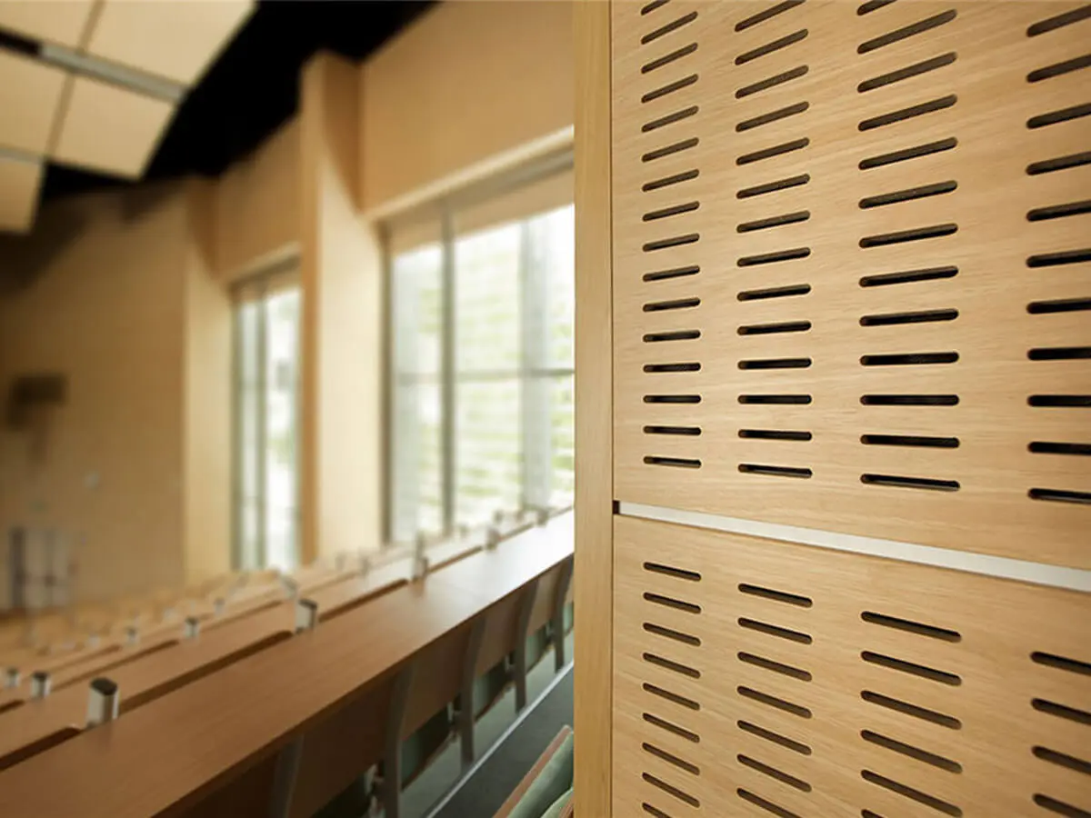 Colourful Irregularity Perforated Acoustic Panel - الصورة 10