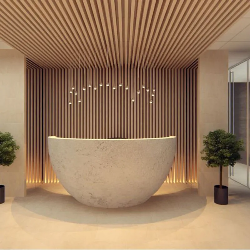 ALUMINUM PERFORATED CEILING PANELS - الصورة 20